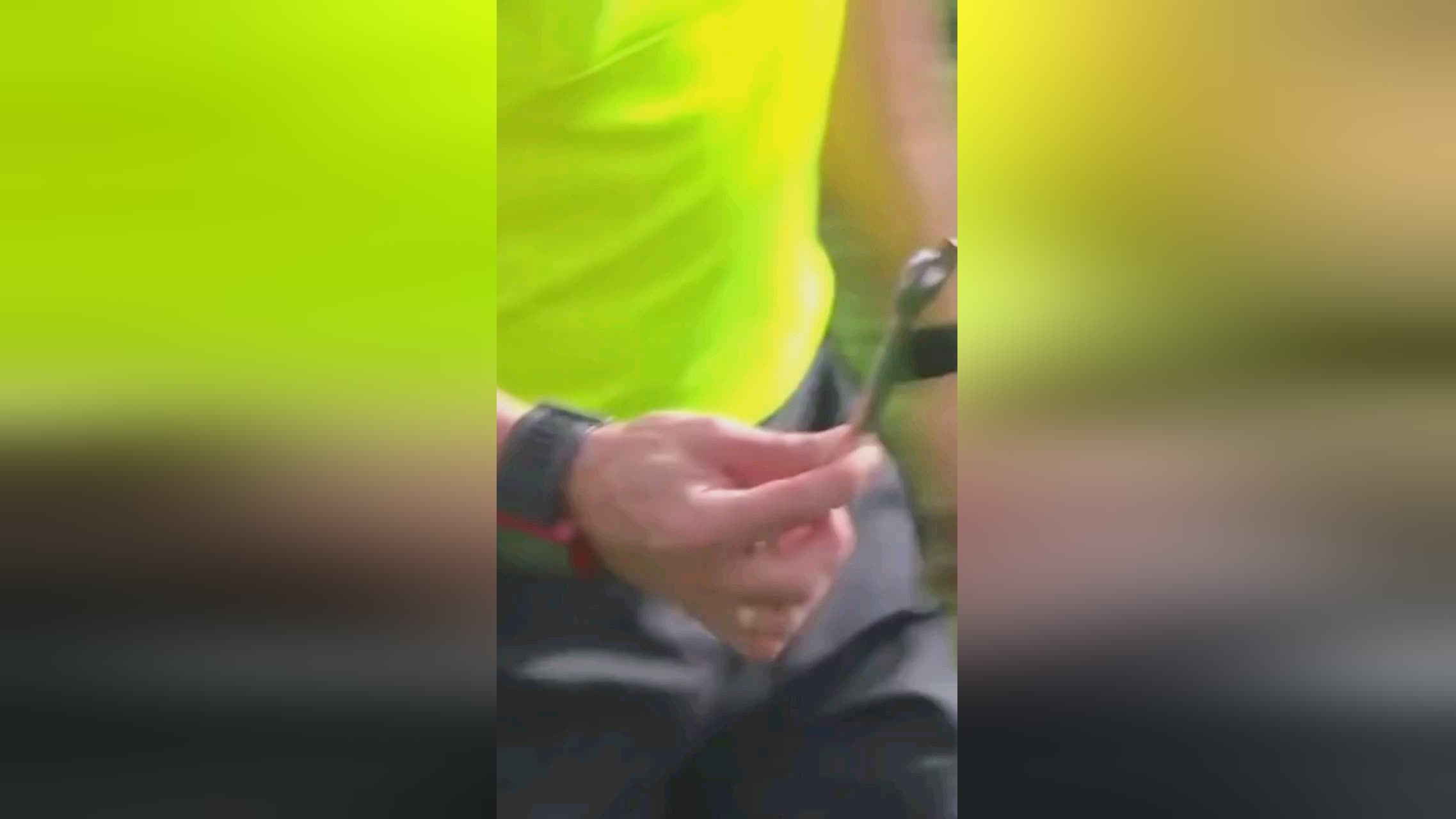 队员发